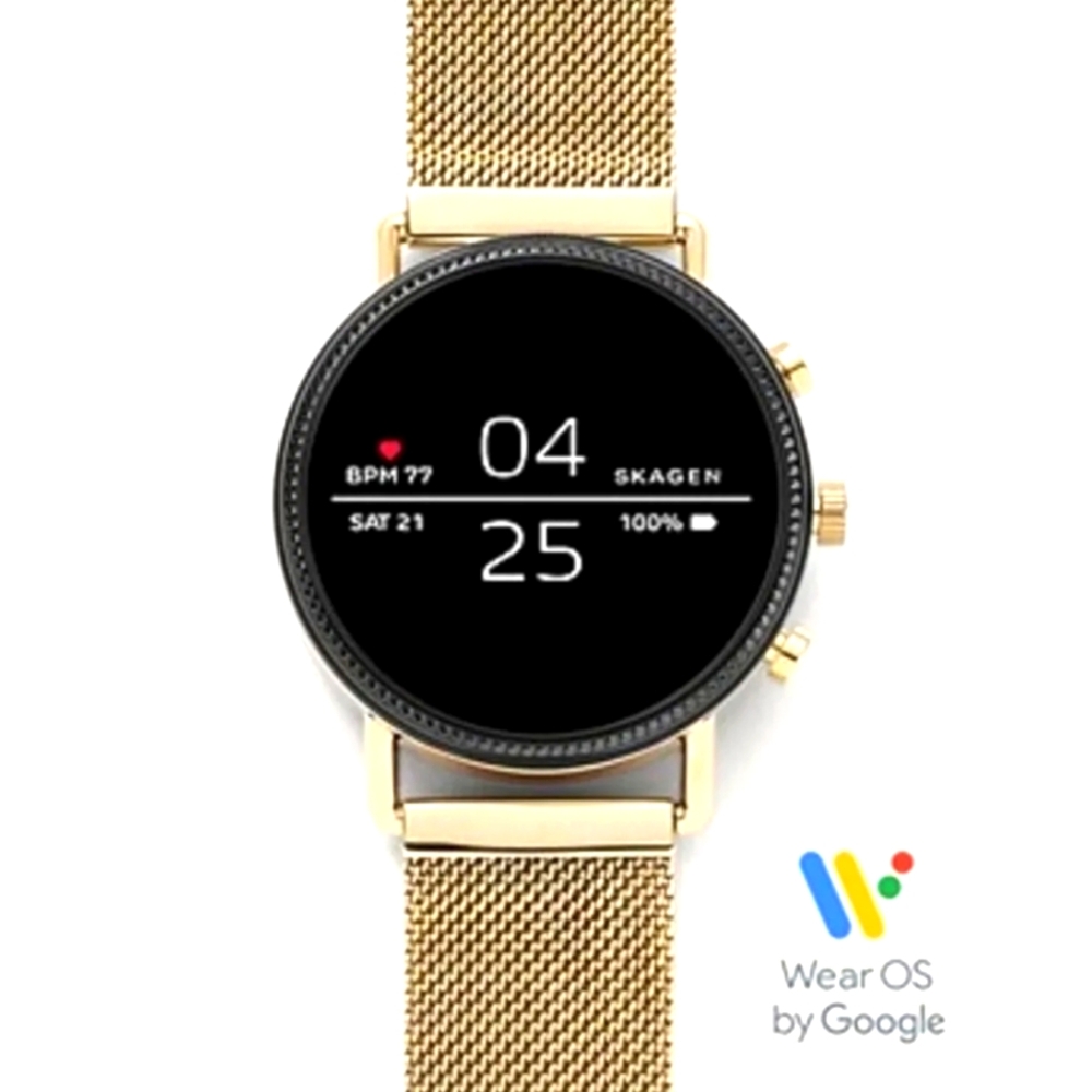 Skagen smartwatch ( Retail value $295)